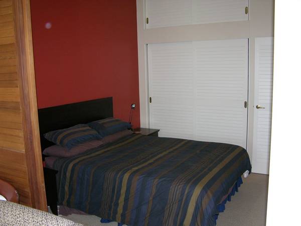 Downtown Auckland Picture 2