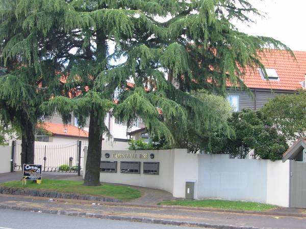 GRAMMAR ZONE - 4 Bedroom Townhouse Picture 1