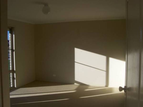 THE WHOLE KIT AND KABOODAL Picture 3