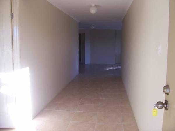 THE WHOLE KIT AND KABOODAL Picture 2