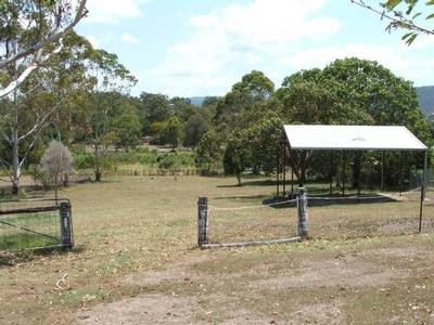 HORSE PADDOCK Picture