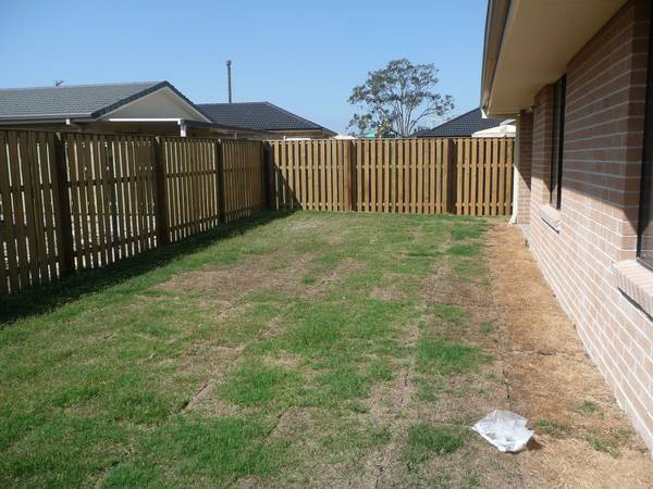 ALL YOU NEED IN THIS ONE Picture