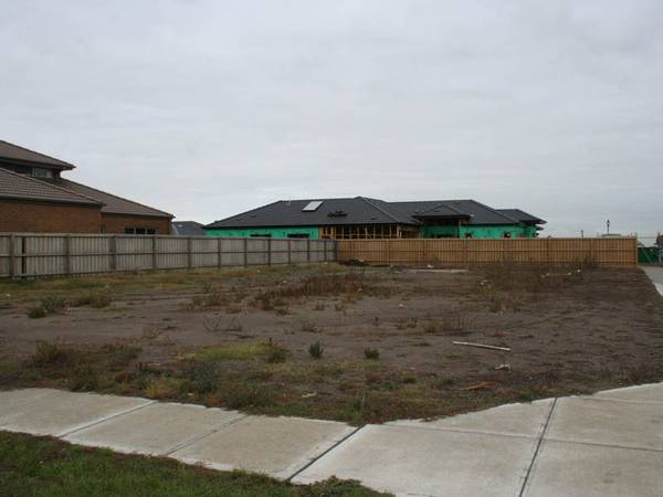 Big & Bare Picture 1