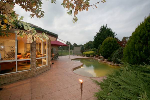 Entertainers Delight? You Bet! Picture 2