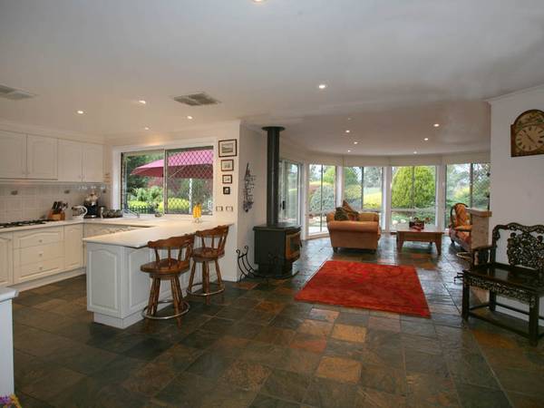 Entertainment Delight? You Bet! Picture 3