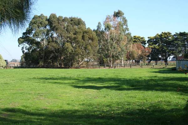 Lorien Park Picture 3