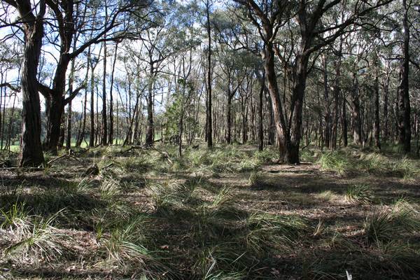 Magnificent 112 Acre Bush Retreat Picture 1