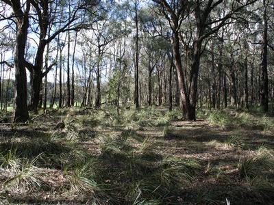 Magnificent 112 Acre Bush Retreat Picture Magnificent 112 Acre Bush Retreat Picture