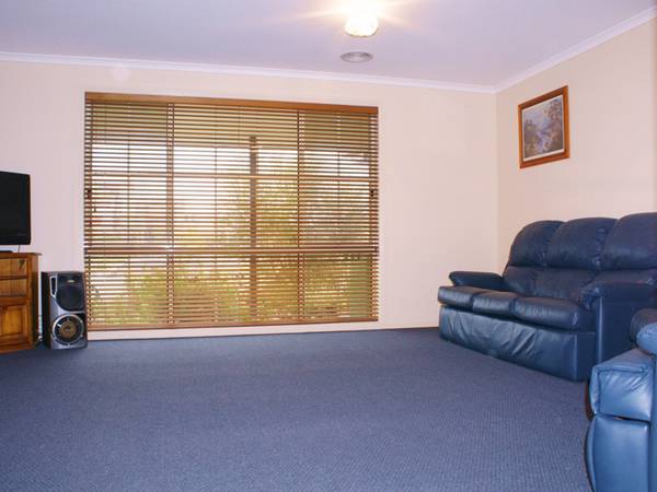 Walk To Everything Picture