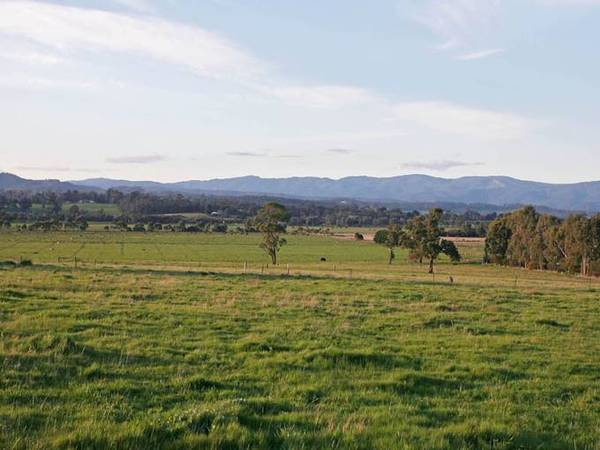 Auction This Friday 7th November At 11am Picture 2