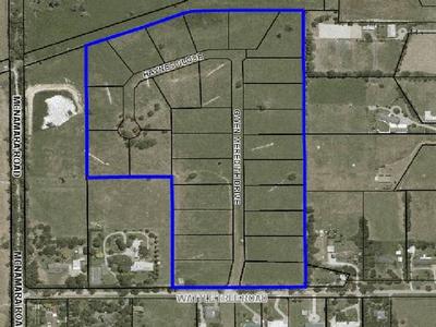 Auction This Friday 7th November At 11am Picture