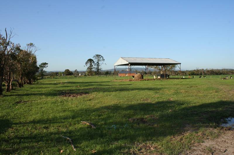 Land Ahoy! Picture 3