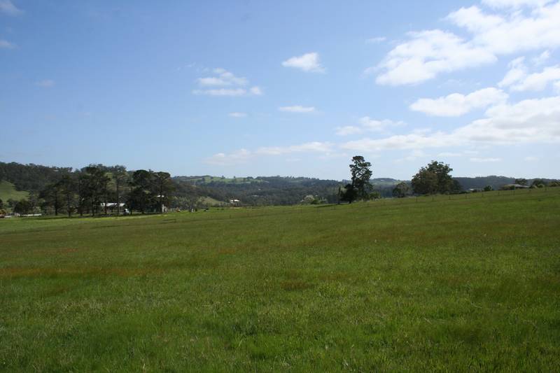Golden Vale Estate Picture 2