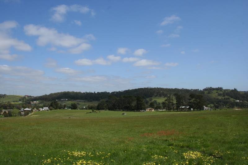 Golden Vale Estate Picture 2