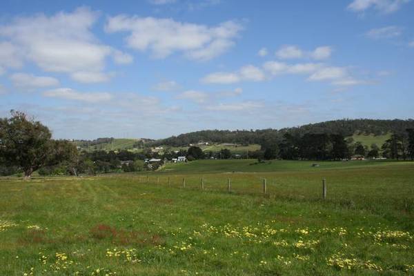 Golden Vale Estate Picture 2