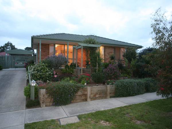 The Perfect Beginning Picture 1