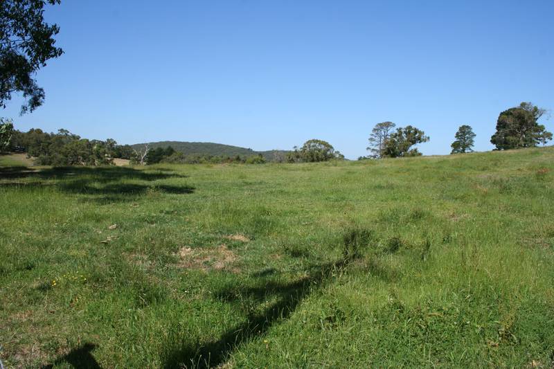 Five Beautiful Acres Picture 1