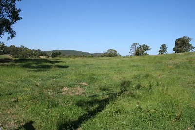 Five Beautiful Acres Picture Five Beautiful Acres Picture