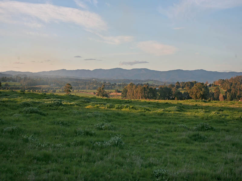 RARE 1 ACRE HOMESITES Picture 3