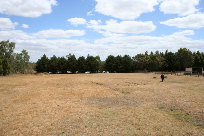 A RARE LIFESTYLE OPPORTUNITY - ACT NOW! Picture 1