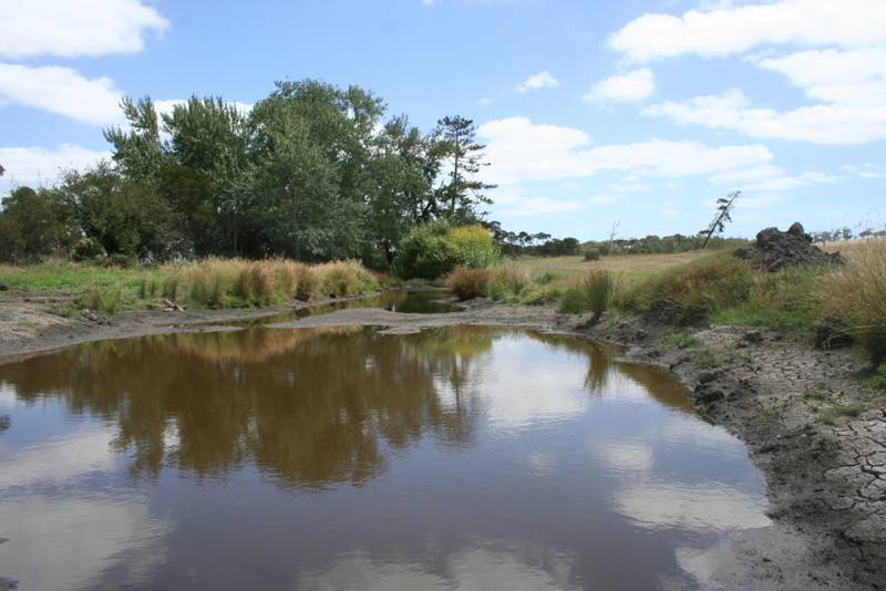 5.5 ACRES WITH POWER Picture 2