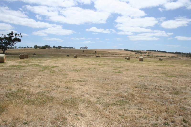 5.5 ACRES WITH POWER Picture 1