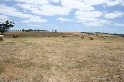 5.5 ACRES WITH POWER Picture 5.5 ACRES WITH POWER Picture