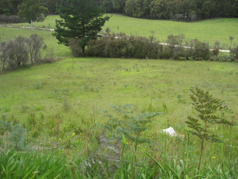 Country Living Picture 3