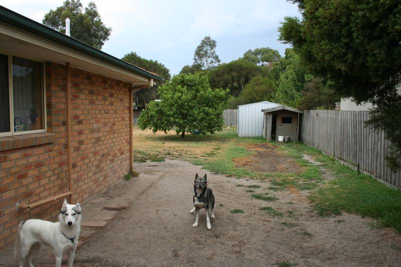 A GREAT START! Picture 2