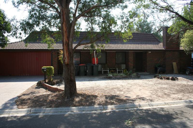 A Golden Opportunity Picture