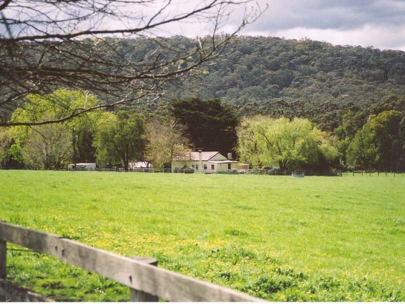 Images for 115 Jolley Road, TONIMBUK, VIC, Australia, 3815 Jolley