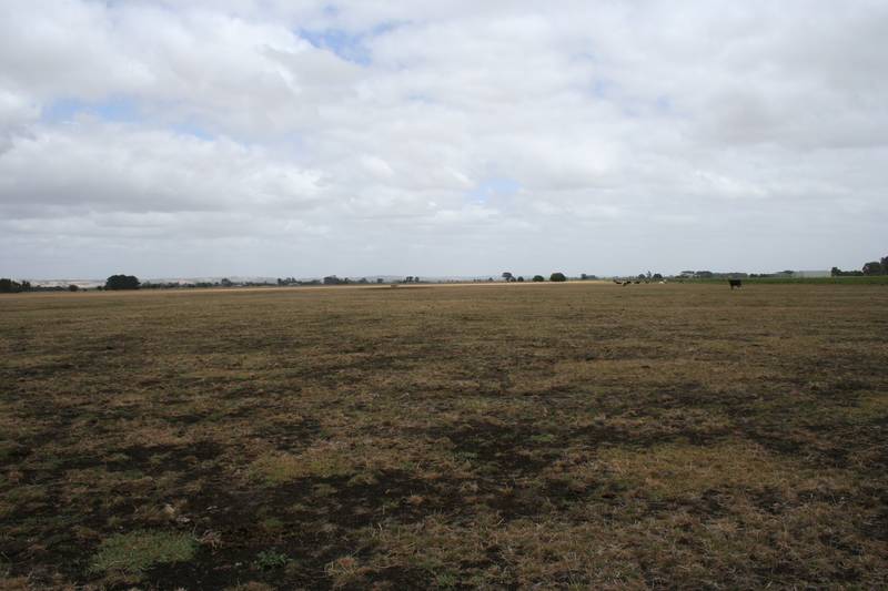 40 SPECIAL ACRES! Picture 2