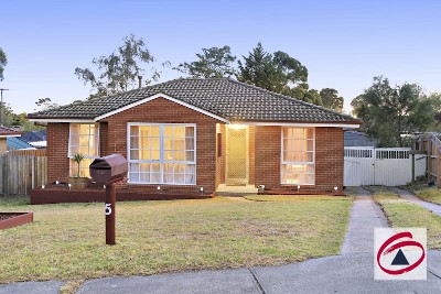 THIS IS THE ONE! Picture THIS IS THE ONE! Picture