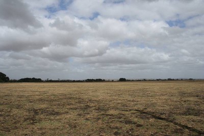 40 Special Acres! Picture