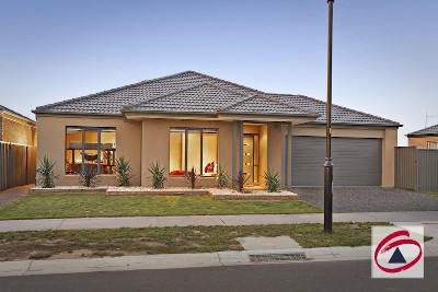 IMPECCABLE & IMMACULATE. Picture