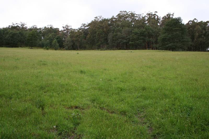 9 ACRES OF LUSH PASTURES WITH VIEWS! Picture 3