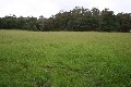 9 ACRES OF LUSH PASTURES WITH VIEWS! Picture