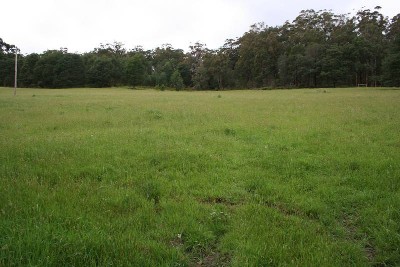 9 ACRES OF LUSH PASTURES WITH VIEWS! Picture