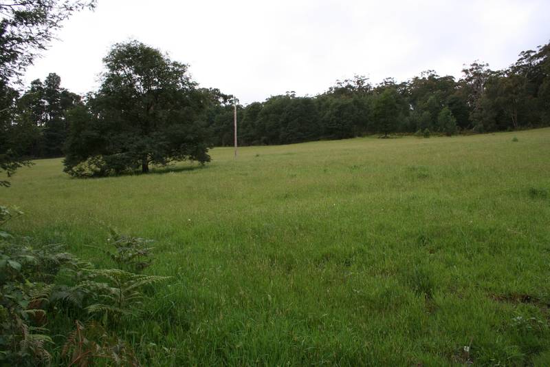 9 ACRES OF LUSH PASTURES WITH VIEWS! Picture 2