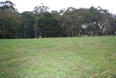 WHEN SIZE MATTERS! Picture WHEN SIZE MATTERS! Picture