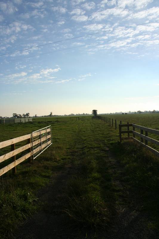 "LAND OF OPPORTUNITY" Picture 3