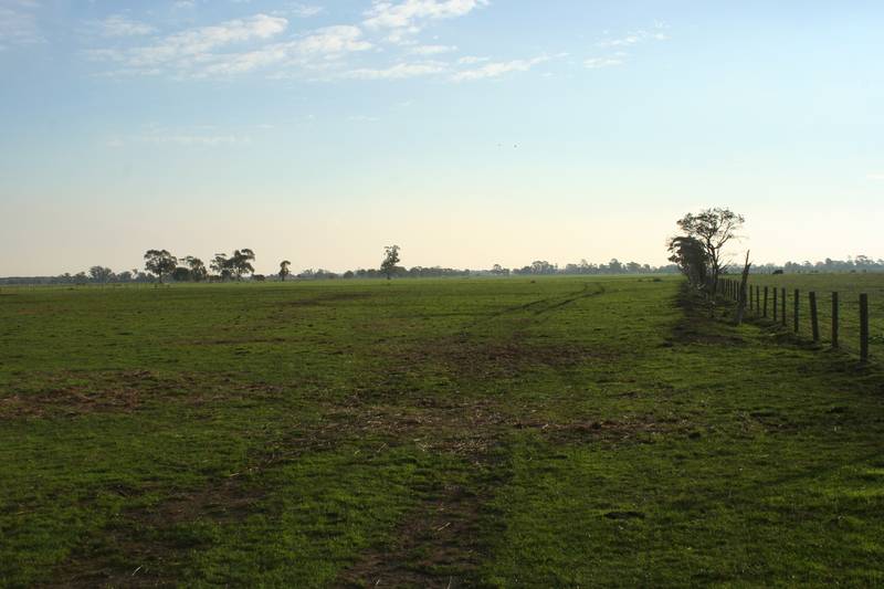 "LAND OF OPPORTUNITY" Picture 1