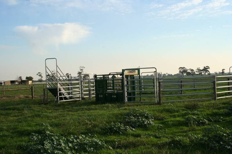 "LAND OF OPPORTUNITY" Picture 2