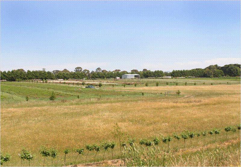 Position Plus! Picture 2