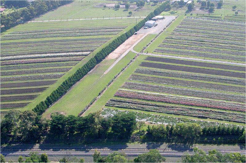 Position Plus! Picture 3