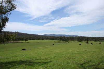 "PRIVACY, PEACE AND SECLUSION IN TONIMBUK" Picture