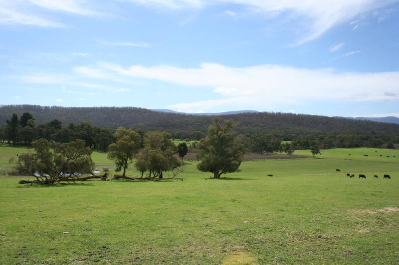 "PRIVACY, PEACE AND SECLUSION IN TONIMBUK" Picture 3