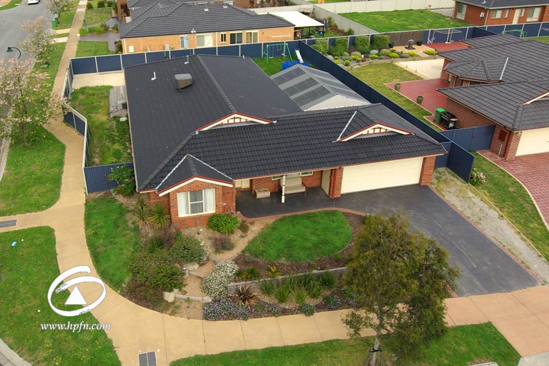 BARK IT OUT LOUD Picture 1