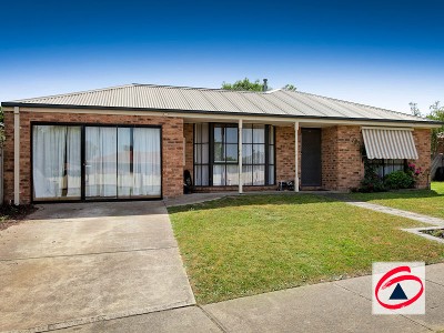 OPPORTUNITY KNOCKS Picture OPPORTUNITY KNOCKS Picture