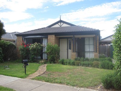 Entertainers Delight!!! Picture Entertainers Delight!!! Picture